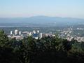 Portland 60